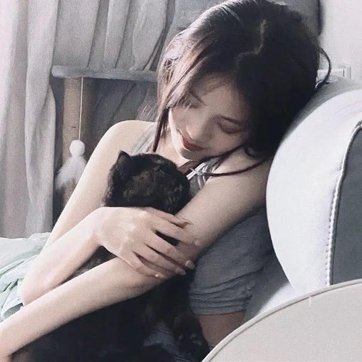 追龙Ⅱ